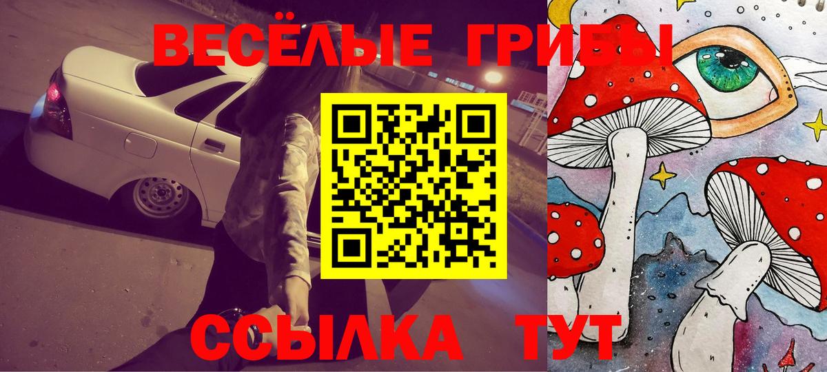 Псилоцибиновые грибы Cubensis  Вход с VPN  Волжский 